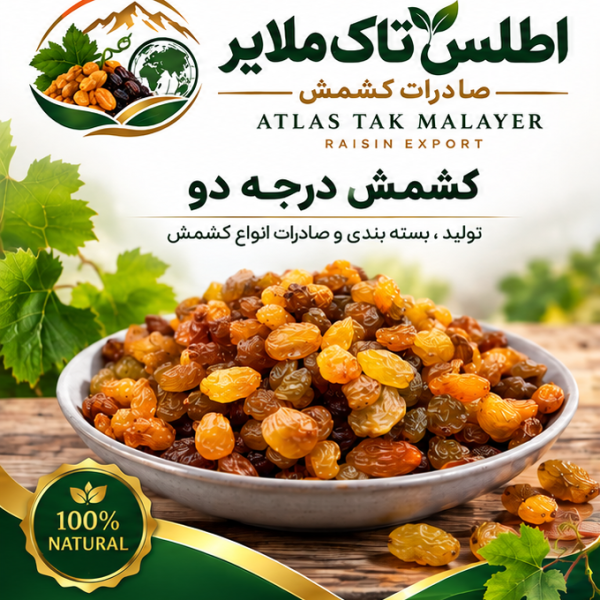 کشمش تیر آب درجه 2